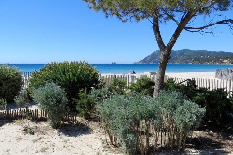 "L'Hippocampe", Climatise, 60 M2 , 2 Chambres, Tres Calme, Plage Des Sablettes Et Commerces A 3 Minutes A Pied, Wifi, Parking Gratuit, Lit King Size Ла Сен-сюр-Мер Екстериор снимка