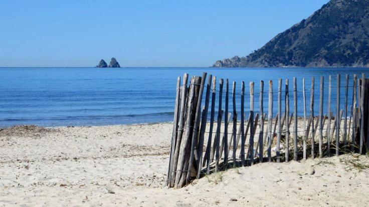 "L'Hippocampe", Climatise, 60 M2 , 2 Chambres, Tres Calme, Plage Des Sablettes Et Commerces A 3 Minutes A Pied, Wifi, Parking Gratuit, Lit King Size Ла Сен-сюр-Мер Екстериор снимка